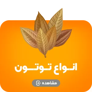 توتون